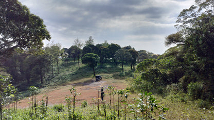Shankarābharanam